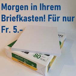 Kopierpapier 80 g/m2 - Pack à 100 Blatt A4 (inkl. Versandkosten)