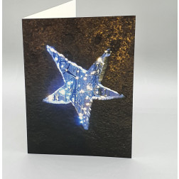 Weihnachtskarten "Leuchtstern" mit passenden Couverts