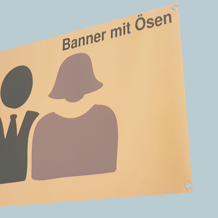 Banner mit Ösen (90x30cm)